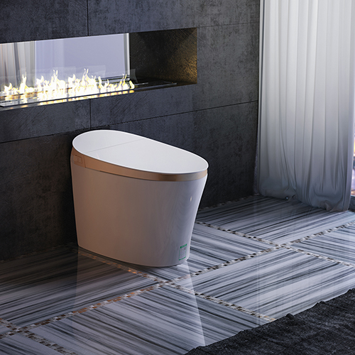 一篇看懂智能马桶怎么选！5款马桶对比测评~