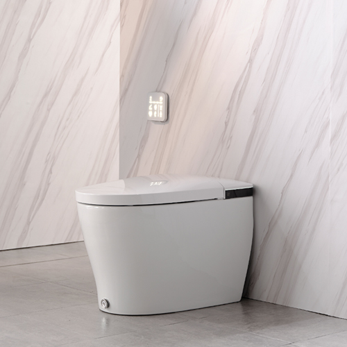 科技感十足 摩恩智能马桶带来不一样的如厕体验